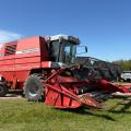 Massey Ferguson 38