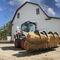 Bobcat S590