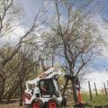 Bobcat S590