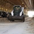 Bobcat S590