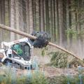 Bobcat T590