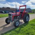 Massey Ferguson 240