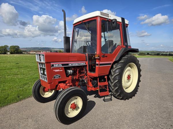 International 585 XL